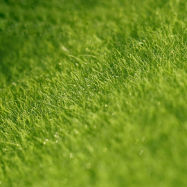 Artificial Moss