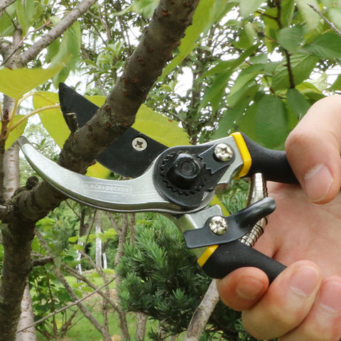 Heavy Duty Garden Clippers